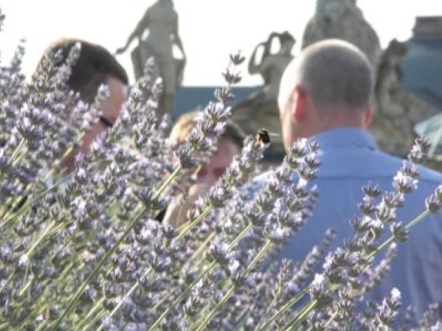 Sachwert-Sommerfest 2016